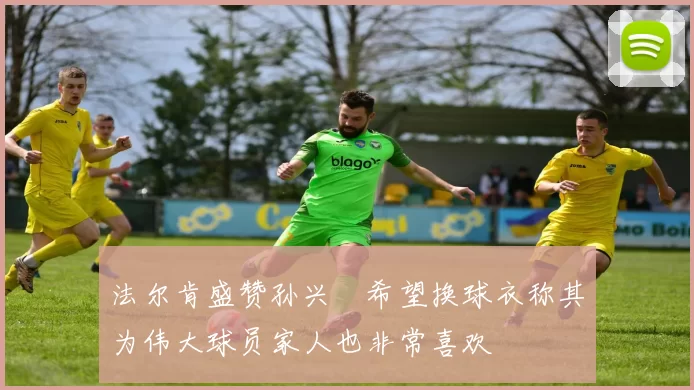 法尔肯盛赞孙兴慜希望换球衣称其为伟大球员家人也非常喜欢